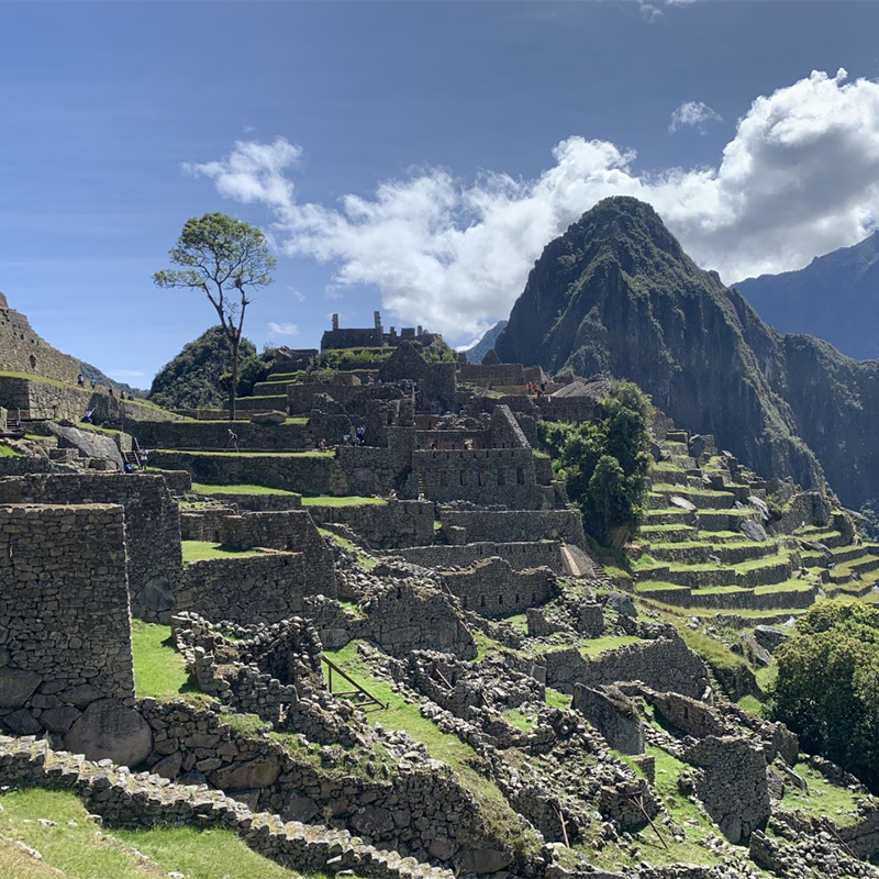 Machu Picchu