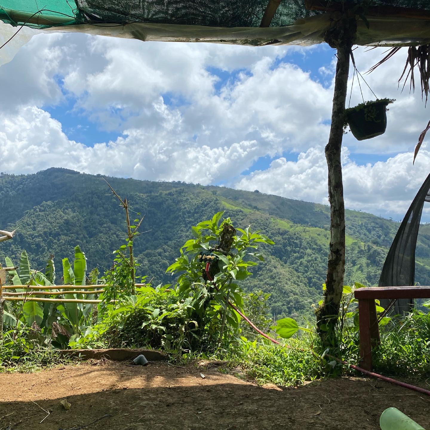A view of the farm in Costa Rica