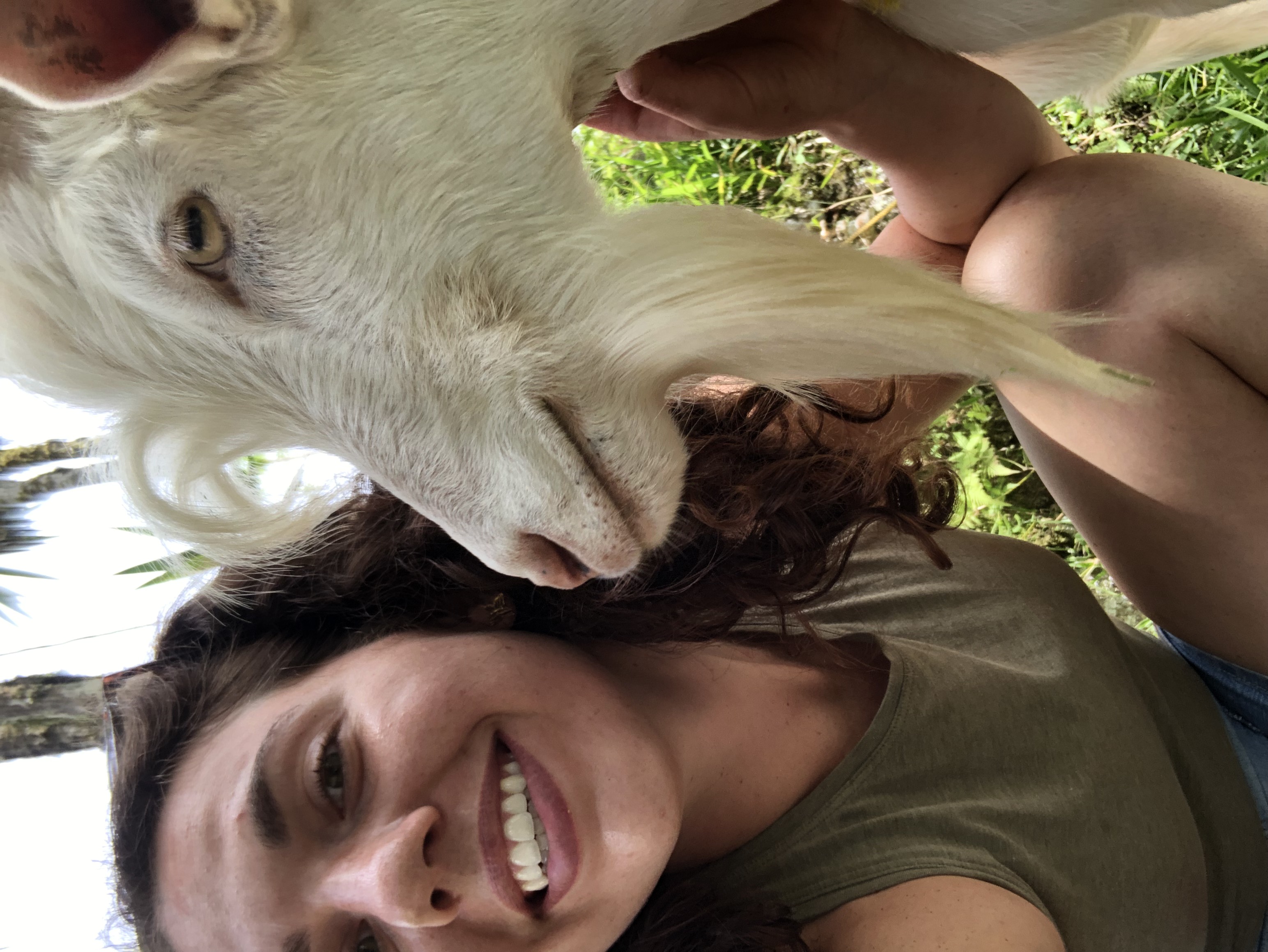 Denae Hollar poses with a goat in Costa Rica