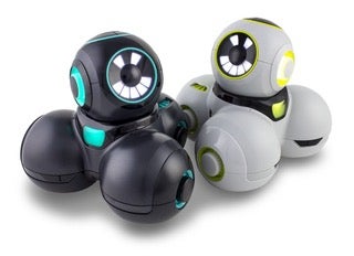 robots used to reach basic computer science skills teaching robots
