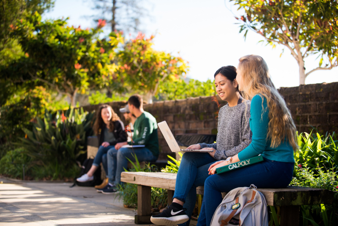 Group of students conversing on a bench. 