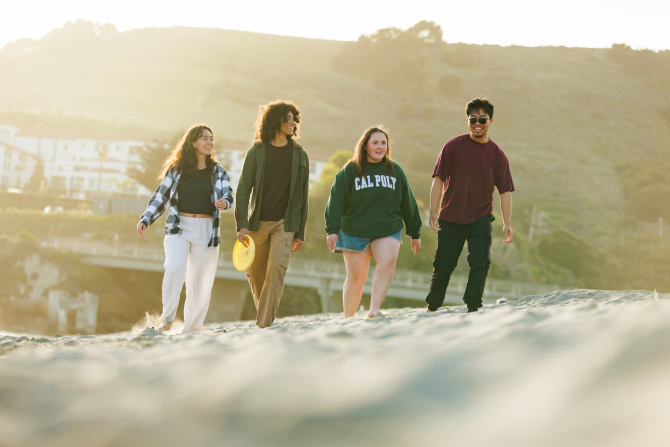 Group of colleagues walking on a beach. 