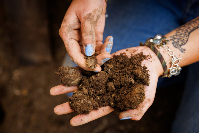 Hands with dirt in them