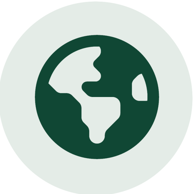 earth icon